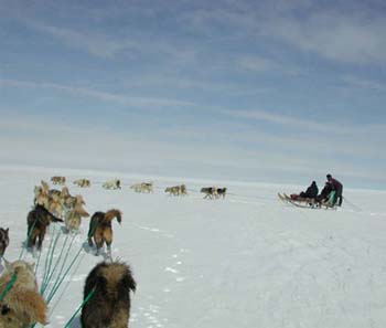 DogSled1