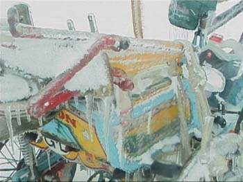 icebodyshaw