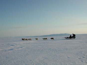 sled1