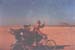 desertwarrior