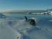 pupview3303